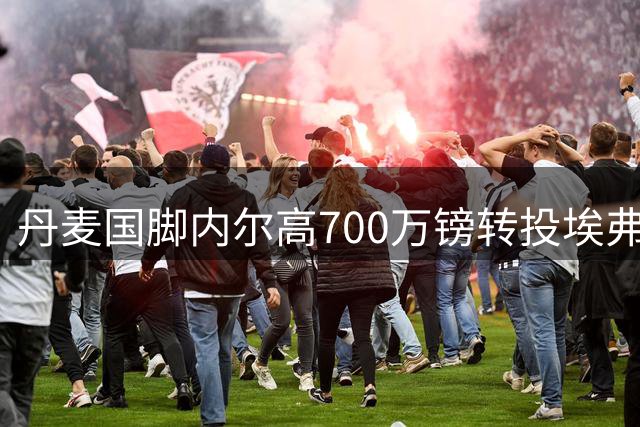 丹麦国脚内尔高700万镑转投埃弗顿 签两年合约将披太妃糖战袍