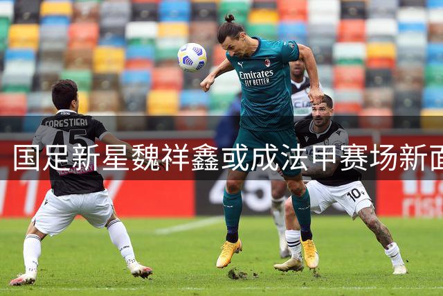 国足新星魏祥鑫或成法甲赛场新面孔