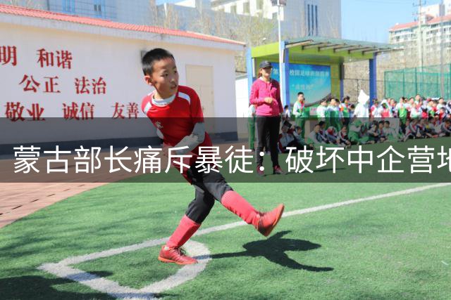 蒙古部长痛斥暴徒：破坏中企营地等于自毁经济命脉！